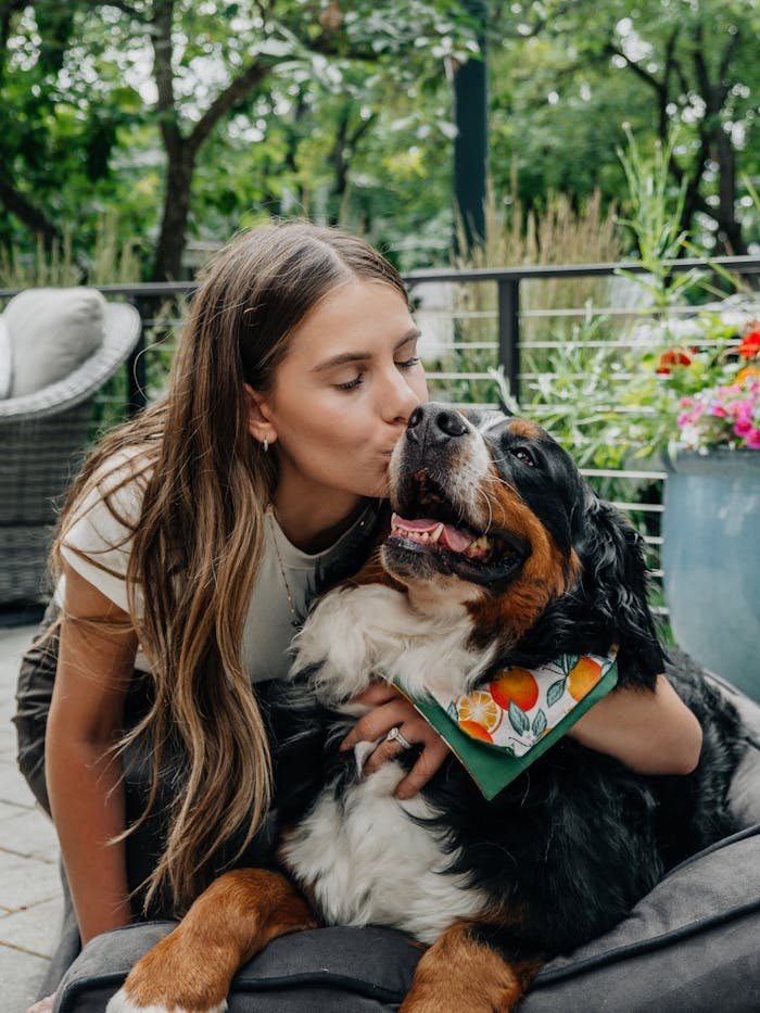 Capture of a loving moment between a brunette woman and a Bernese mountain dog on a patio.