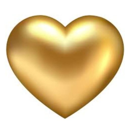 pet luxury o line pet products shop pet store